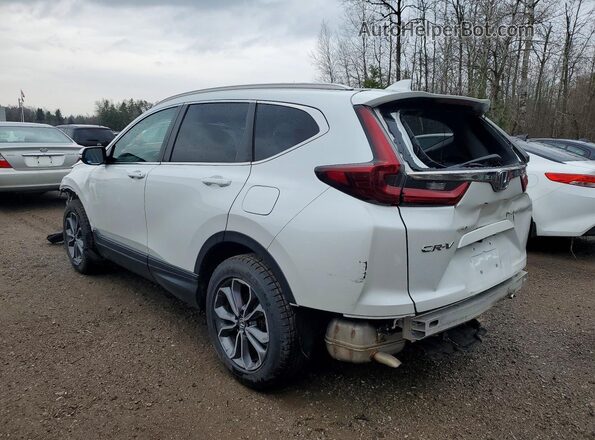 2HKRW2H82LH214944 2020 HONDA CR-V White უკანა მარცხენა