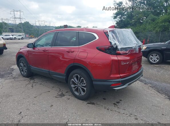2HKRW2H83LH620795 2020 HONDA CR-V Red Հետևի ձախ