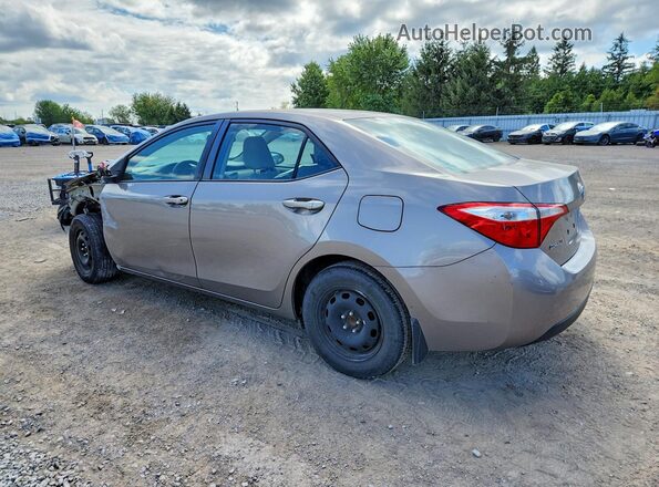 2T1BURHE6GC655829 2016 TOYOTA COROLLA Silver Հետևի ձախ
