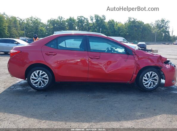 2T1BURHE6KC210466 2019 TOYOTA COROLLA Красный Вид задней части салона
