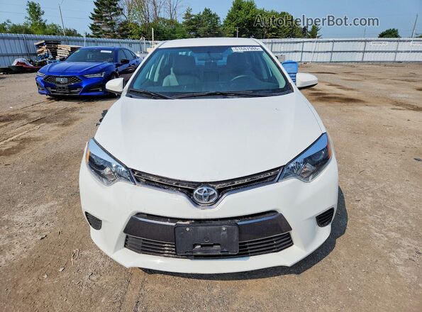 2T1BURHE7GC687382 2016 TOYOTA COROLLA White Դիմացի տեսք