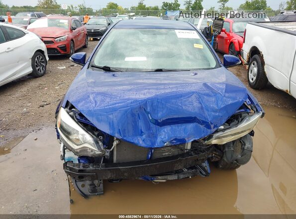 2T1BURHE8GC496960 2016 TOYOTA COROLLA Синий Вид задней части салона