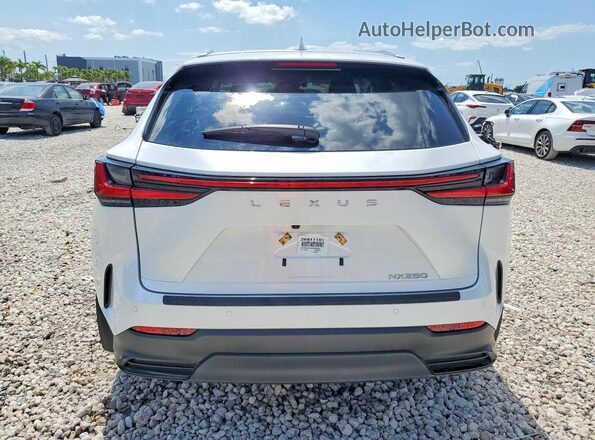 2T2ADCAZ0SC028005 2025 LEXUS NX White Vista trasera