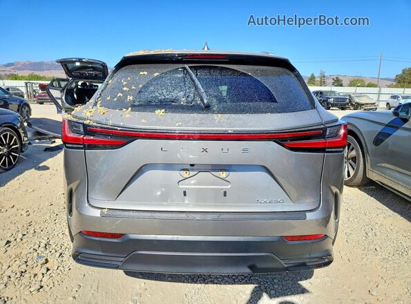 2T2ADCAZ1RC012342 2024 LEXUS NX Gray Widok z tyłu
