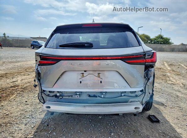 2T2ADCAZ8PC003005 2023 LEXUS NX Silver Հետևի տեսք