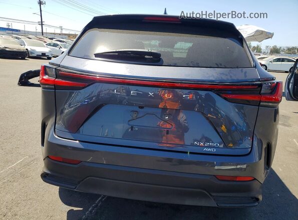 2T2ADCEZ1PC002921 2023 LEXUS NX Gray Widok z tyłu