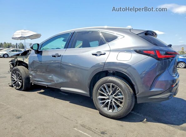 2T2ADCEZ1PC002921 2023 LEXUS NX Gray Tył lewy