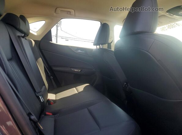 2T2ADCEZ1PC002921 2023 LEXUS NX Gray Widok wnętrza z tyłu