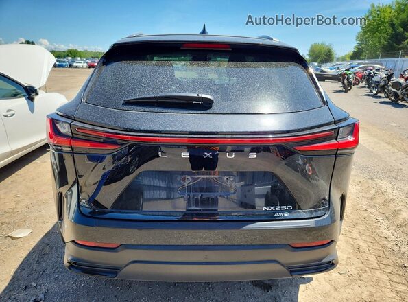 2T2ADCEZ4NC002506 2022 LEXUS NX Черный Вид сзади