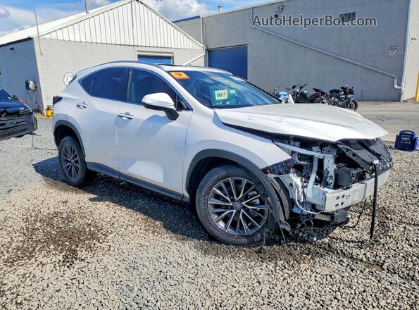 2T2AGCEZ1SC080289 2025 LEXUS NX White წინა მარჯვენა
