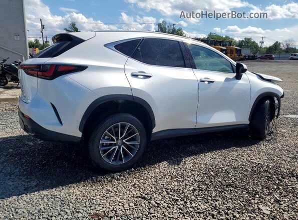 2T2AGCEZ1SC080289 2025 LEXUS NX White უკანა მარჯვენა