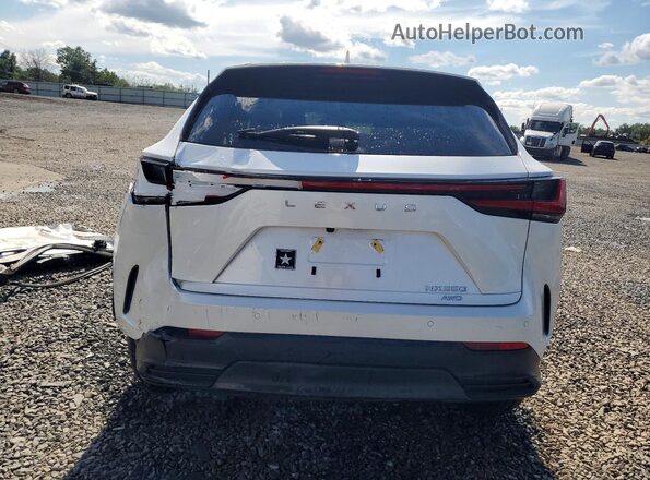 2T2AGCEZ1SC080289 2025 LEXUS NX White უკანა ხედი