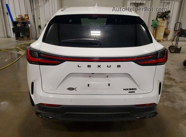 2T2AGCEZ1TC094713 2026 LEXUS NX White Widok z tyłu