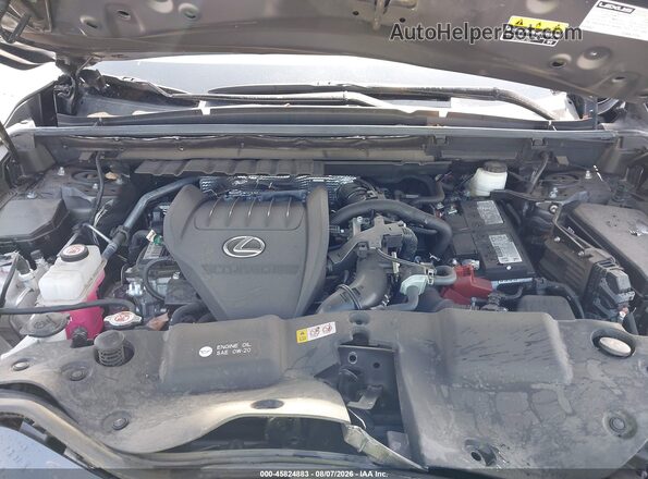 2T2AGCEZ2RC045111 2024 LEXUS NX 350 Серый Вид сзади