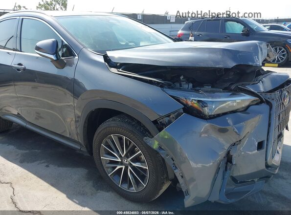 2T2AGCEZ2RC045111 2024 LEXUS NX 350 Серый 