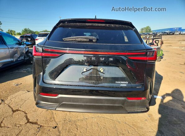 2T2AGCEZ4RC032781 2024 LEXUS NX Black Rear view