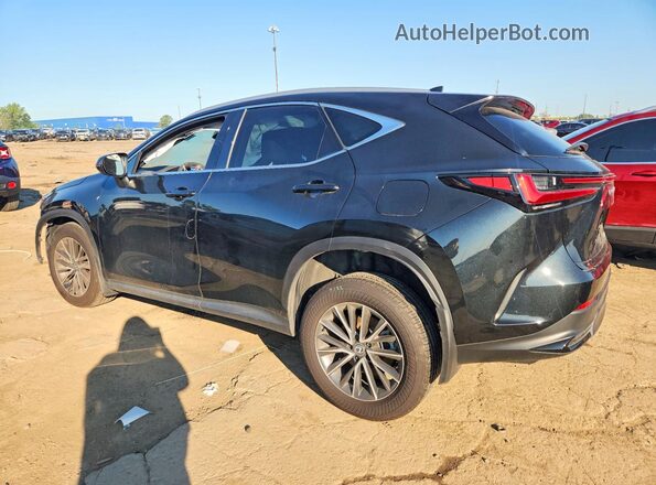 2T2AGCEZ4RC032781 2024 LEXUS NX Black Rear left