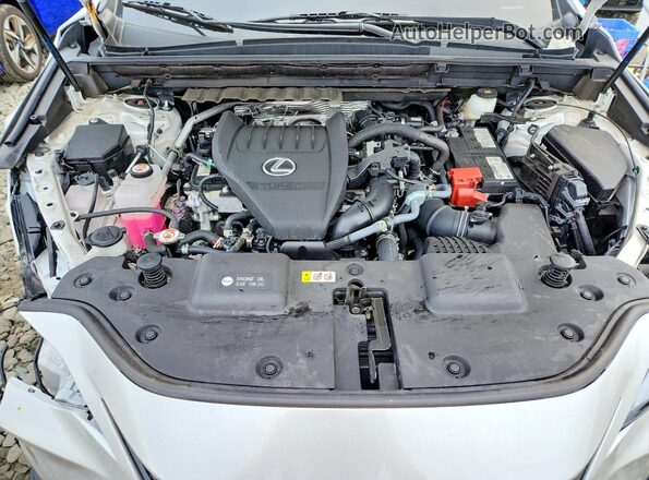 2T2AGCEZXSC071493 2025 LEXUS NX Белый Вид подкапотного пространства