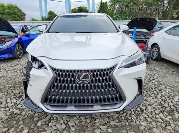 2T2AGCEZXSC071493 2025 LEXUS NX Белый Вид спереди