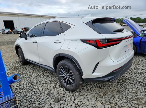 2T2AGCEZXSC071493 2025 LEXUS NX Белый Задняя левая четверть
