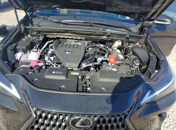 2T2AGCEZXTC113999 2026 LEXUS NX Black Widok wnętrza z tyłu