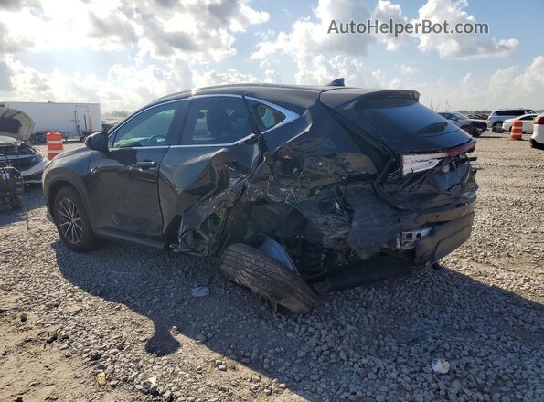 2T2AGCEZXTC113999 2026 LEXUS NX Black Tył lewy