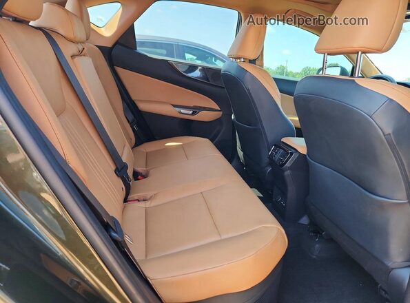 2T2AKCEZ3NC003054 2022 LEXUS NX Green Widok wnętrza z tyłu