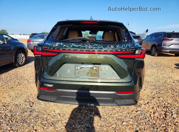 2T2AKCEZ3NC003054 2022 LEXUS NX Green Widok z tyłu
