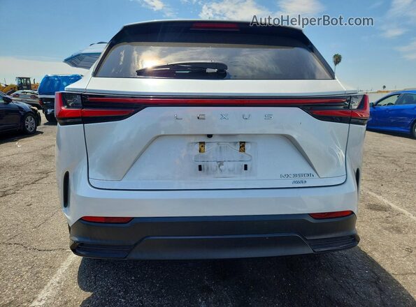 2T2AKCEZ4NC002091 2022 LEXUS NX Белый Вид сзади