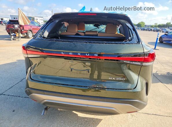 2T2BAMBA0SC063106 2025 LEXUS RX Green Вид ззаду