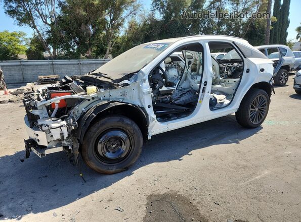 2T2BAMBA3TC079446 2026 LEXUS RX Белый 