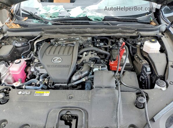 2T2BAMBA9RC031443 2024 LEXUS RX Black Engine compartment view