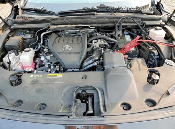 2T2BAMCA0RC047237 2024 LEXUS RX Black Widok wnętrza z tyłu