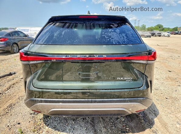 2T2BAMCA0SC109449 2025 LEXUS RX Зеленый Вид сзади