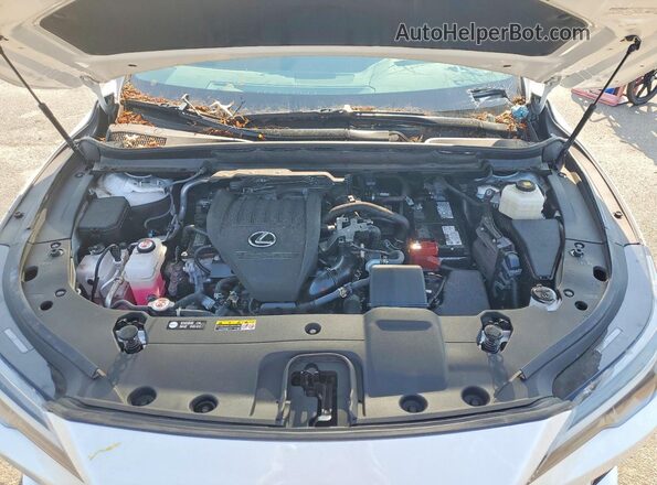2T2BAMCA1PC028239 2023 LEXUS RX White Engine compartment view