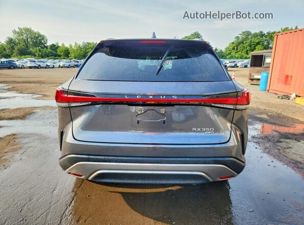 2T2BAMCA2RC061172 2024 LEXUS RX Gray Вид ззаду