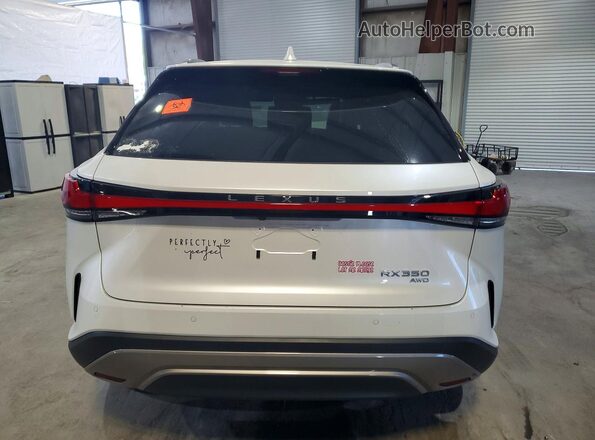 2T2BAMCA2RC086198 2024 LEXUS RX White Вид ззаду