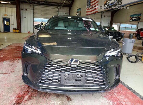 2T2BAMCA3SC097250 2025 LEXUS RX Green Դիմացի տեսք