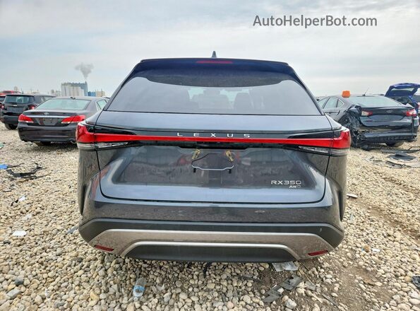 2T2BAMCA3SC119800 2025 LEXUS RX Gray Widok z tyłu