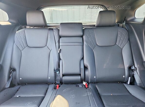 2T2BAMCA4RC085845 2024 LEXUS RX Blue Rear seats view