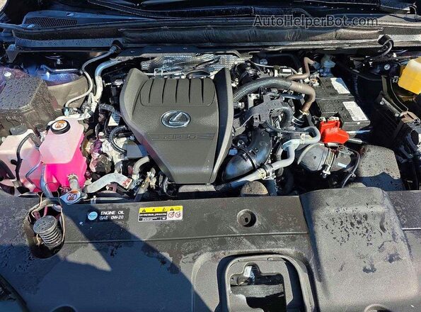 2T2BAMCA4SC109342 2025 LEXUS RX Blue Вид задньої частини салону