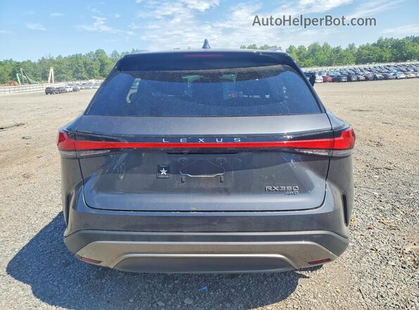 2T2BAMCA5RC078550 2024 LEXUS RX Gray Widok z tyłu