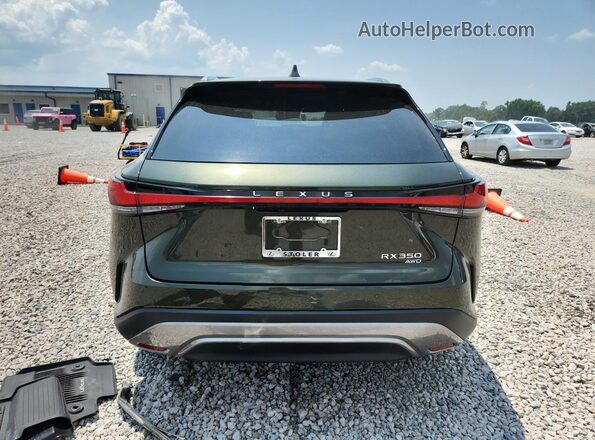 2T2BAMCA6TC132252 2026 LEXUS RX Green Vista trasera
