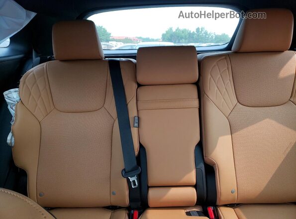 2T2BAMCA7SC118732 2025 LEXUS RX Black Vista de los asientos traseros