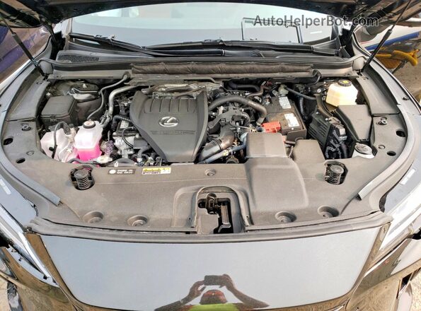 2T2BAMCA7SC118732 2025 LEXUS RX Black Vista del compartimento del motor