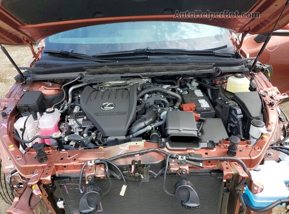 2T2BAMCA7TC143597 2026 LEXUS RX Оранжевый Вид задней части салона