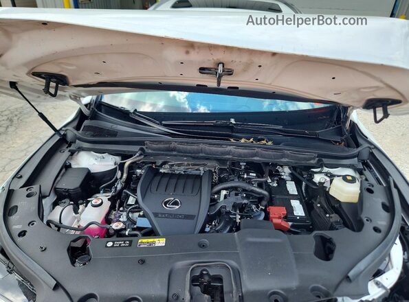 2T2BAMCA8RC054615 2024 LEXUS RX White Շարժիչի բաժամունքի տեսք