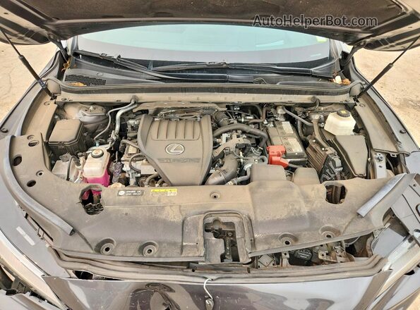 2T2BAMCAXRC052669 2024 LEXUS RX Black Widok wnętrza z tyłu