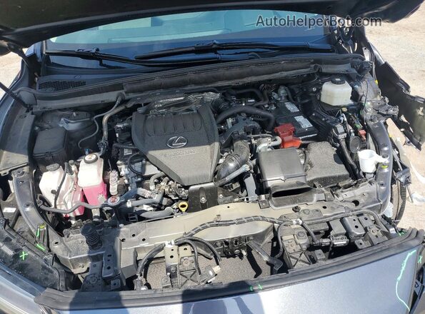 2T2BAMCAXRC067317 2024 LEXUS RX Серый Вид задней части салона