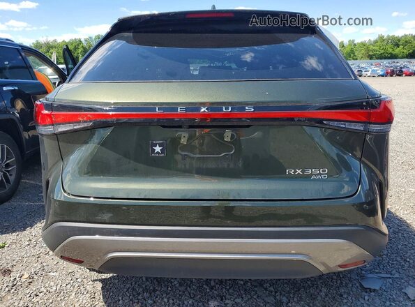 2T2BAMCAXSC103948 2025 LEXUS RX Green Vista trasera